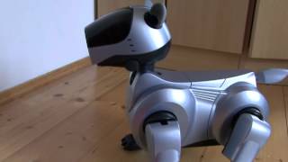 Sony AIBO ERS 210 [upl. by Zantos]