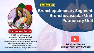 Lecture On Bronchopulmonary Segment Bronchovascular unit And Pulmonary Unit [upl. by Obe]