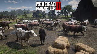 Hunting cows and fighting bulls in Red Dead Redemption 2 [upl. by Haydon]