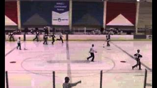 2006 IFBA World Broomball Championships Finals [upl. by Eahsat]