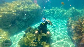 Discovery Cove Snorkeling Part 3 Petting Manta Rays amp Diving with Stingrays 🐠 [upl. by Mroz]