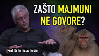 Tomislav Terzin  ZAŠTO MAJMUNI NE GOVORE [upl. by Norha]