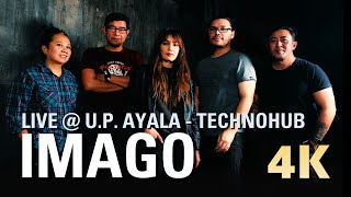 IMAGO  Full Concert Live  UP  Ayala Technohub Quezon City 4K HDR 🇵🇭 [upl. by Yentruocal]