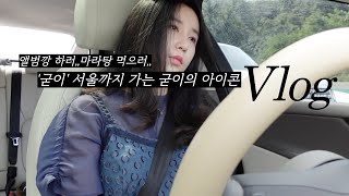 vlog ‘굳이’의 아이콘not idol 브이로그 요리 브이로그  붓가케 우동  더보이즈 앨범깡  오징어볶음 [upl. by Latty]