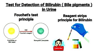 Test for Detection of bilirubin Bile pigments in urine  Fouchets test  what is bilirubinuria [upl. by Eanahs853]