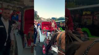 თბილისი❤️🐎tbilisi 🇬🇪 vlog travel tbilisi blogger tbilisivlog trip travel subscribe [upl. by Eiramanna]