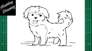 How to Draw a Maltipoo Dog [upl. by Khalil]