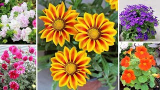 30 BEST Winter Flowers To GROW In SeptOCT [upl. by Arahsit]