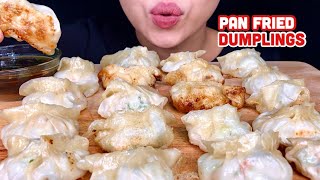 PAN FRIED DUMPLINGS SATISFYING EATING SHOW  GYOZA MUKBANG  MANDU [upl. by Alya807]