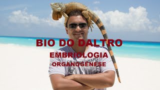 EMBRIOLOGIA  ORGANOGÊNESE [upl. by Sabrina135]