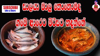 Salaya Fish Chili Curry ගමේ ගෙපැලේ හදපු සාලයෝ මාළු මිරිසට [upl. by Madancy]