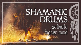 SHAMANIC JOURNEY • Activate Your Higher Mind • Shaman Drums • Trance and Meditation [upl. by Nicholson]