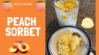 Peach Sorbet 🍑 Ninja Creami  3 Ingredients [upl. by Navi82]