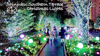 4K 新宿サザンテラス イルミネーション2021 JapanTokyo Shinjuku Southern Terrace Illumination Christmas Lights [upl. by Fan]