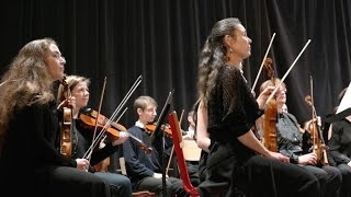 W A Mozart Petite musique de Nuit 1787 concert 29 01 2017 [upl. by Leonor]