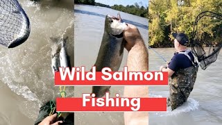 Wild Salmon Fishing  Puyallup river Washington [upl. by Euqenimod]