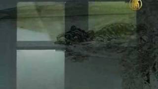 Giant Monster Caught on Film Tape in Sweden Lake [upl. by Chi]