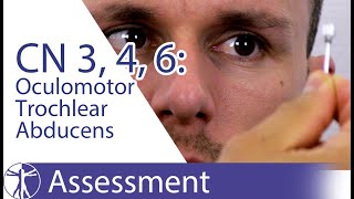 Cranial Nerves 3 4 6 Examination  Oculomotor Trochlear Abducens Nerve Physiotherapy Assessment [upl. by Fondea]