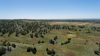 Renegade Ranch for sale in Wyoming [upl. by Leahcimal163]