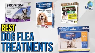 7 Best Dog Flea Treatments 2017 [upl. by Lleval]