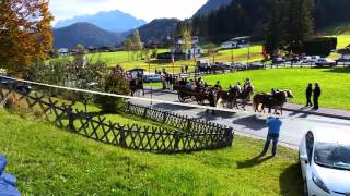 Leonhardiritt 2015 in Thiersee Tirol [upl. by Ymar]