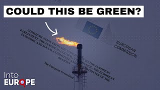 Natural Gas and the European Green Deal [upl. by Lorrad]