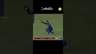 කිපින්නම් මෙන්ඩා තමයි😎 srilankayoutubeshortscricketlover [upl. by Ailhad307]