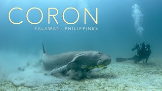 CORON 🤿 Dive with Dugongs August 2024 [upl. by Eckart]