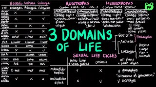 3 Domains of Life  Evolution amp Phylogeny 03  Biology  PP Notes  Campbell 8E Ch 13 amp 27 [upl. by Jarita]