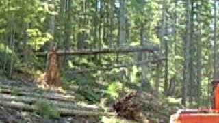 Logging Downhill Yarding with a Madill 071 yarder [upl. by Aciretnahs]