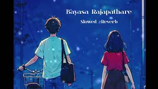 Bayasa Rajapathare a wonderful odia Old songs slowed reverb odiasong [upl. by Aitnahc]