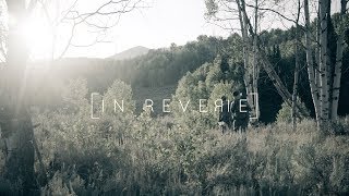 IN REVERIE  A Traditional Archery Utah Elk Film [upl. by Asa383]