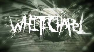 Whitechapel  Prostatic Fluid Asphyxiation LYRIC VIDEO [upl. by Ettenor]