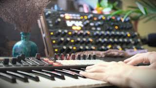 A Very Warm Day  Novation Peak Improvisation [upl. by Audun759]