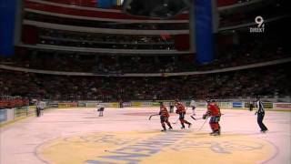 Djurgardens IF  hockey fans [upl. by Irabaj]