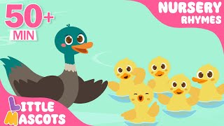 Best Five Little Ducks  more  Nursery Rhymes  Little Mascots Daily [upl. by Rebmyk]