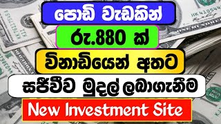 How to Earn Money Online Sinhala 2024 USDT Earning Site  Live Withdraw [upl. by Areid]