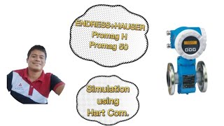 EndressHauser Promag 50Promag H  Simulation  Calibration  Tagalog Tutorial  Hart Communicator [upl. by Hbahsur741]