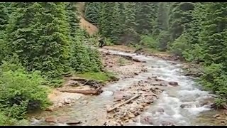 INSANE FOOTAGE OF A MASSIVE BIGFOOT FISHING BY THE RIVER [upl. by Rani477]