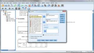 Create crosstab tables using SPSS [upl. by Rochkind211]