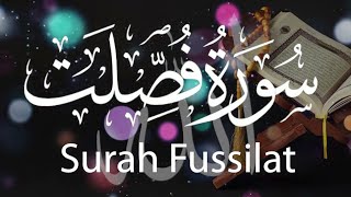 Surah Fussilat  Tilawat e quran  beautiful recitation  حم السجدہ  quran qirat [upl. by Nnylorac]