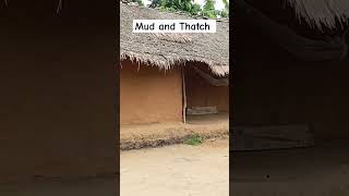 Ever seen mud and thatch house before shorts traditional architecture construction [upl. by Akimik]