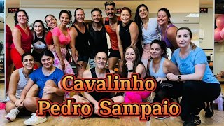 CAVALINHO  Pedro Sampaio [upl. by Ailima]