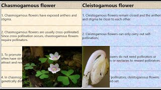 Chasmogamous vs Cleistogamous Flowers [upl. by Assened]