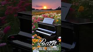 Johann Sebastian Bach quotAirquot Goldberg Variations classicalmusic piano bach soothing [upl. by Samtsirhc]