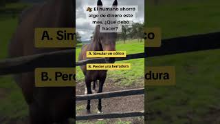 😅😅🤣🤣🤣 caballos equinos amoaloscaballos rancho humor [upl. by Dorree]