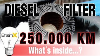 Kraftstofffilter Dieselfilter nach 250000 Km und 10 Jahren geöffnet  What´s inside [upl. by Ennairek810]