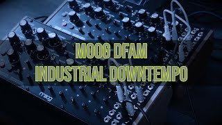 Moog DFAM industrial downtempo [upl. by Annel]