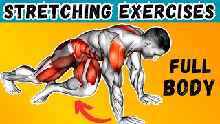 Daily Routine  8 Min Stretching Exercises  Full Body  stay fit [upl. by Nnayhs]