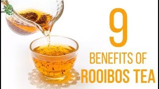 9 Amazing Ways Rooibos Tea Can Benefit Your Health  Organic Facts [upl. by Aneram144]